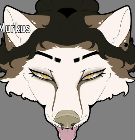 Head lineart